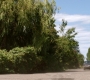 Filename=SPN_1904.jpg
Filesize=150KiB
Dimensions=1280x720
Date added=Sep 30, 2021 SPN_1904.jpg