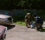 Filename=SPN_1908.jpg
Filesize=132KiB
Dimensions=1280x720
Date added=Sep 30, 2021 SPN_1908.jpg