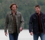 SPN_1684.jpg