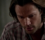 SPN_0205.jpg