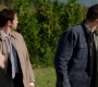 SPN_0943.jpg