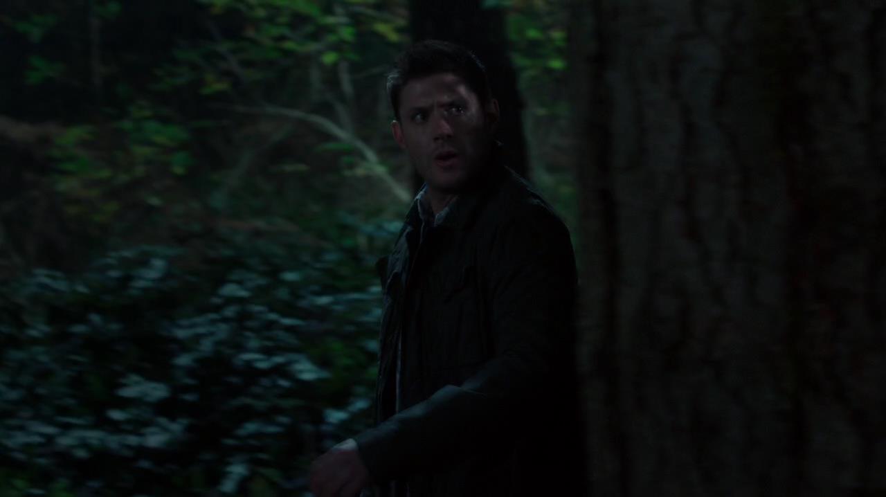 SPN_0030.jpg