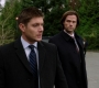 SPN_0381.jpg