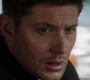 SPN_0439.jpg