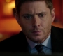 SPN_0800.jpg