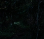 SPN_0885.jpg