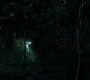 SPN_0886.jpg