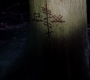 SPN_0921.jpg