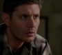 Filename=SPN_1426.jpg
Filesize=45KiB
Dimensions=1280x718
Date added=Sep 30, 2021 SPN_1426.jpg