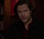 SPN_1235.jpg
