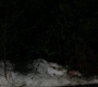 SPN_0931.jpg