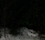 SPN_0935.jpg