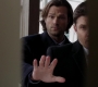 SPN_0505.jpg