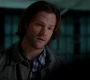 SPN_1694.jpg