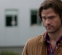 SPN_1140.jpg