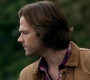 SPN_1168.jpg