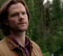 SPN_1172.jpg