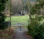 SPN_1187.jpg