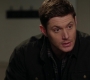 SPN_1363.jpg