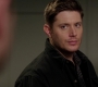 SPN_1381.jpg