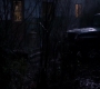 SPN_1550.jpg