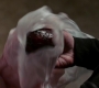 SPN_1606.jpg