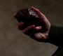 SPN_1607.jpg