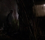 SPN_0618.jpg
