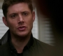 SPN_1210.jpg