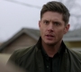 SPN_1262.jpg