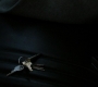 SPN_1305.jpg