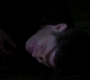 SPN_1567.jpg