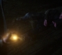 SPN_1586.jpg