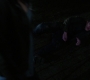 SPN_1591.jpg