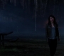 SPN_1600.jpg