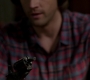 SPN_0178.jpg