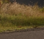 SPN_0146.jpg