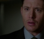 SPN_0162.jpg