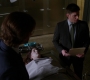 SPN_0166.jpg