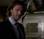 SPN_0186.jpg