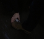 SPN_1091.jpg