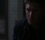 SPN_1726.jpg