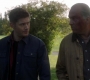 SPN_1782.jpg
