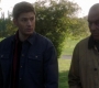 SPN_1783.jpg