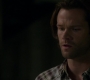 Filename=SPN_1895.jpg
Filesize=32KiB
Dimensions=1280x718
Date added=Sep 30, 2021 SPN_1895.jpg