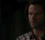 Filename=SPN_1896.jpg
Filesize=35KiB
Dimensions=1280x718
Date added=Sep 30, 2021 SPN_1896.jpg