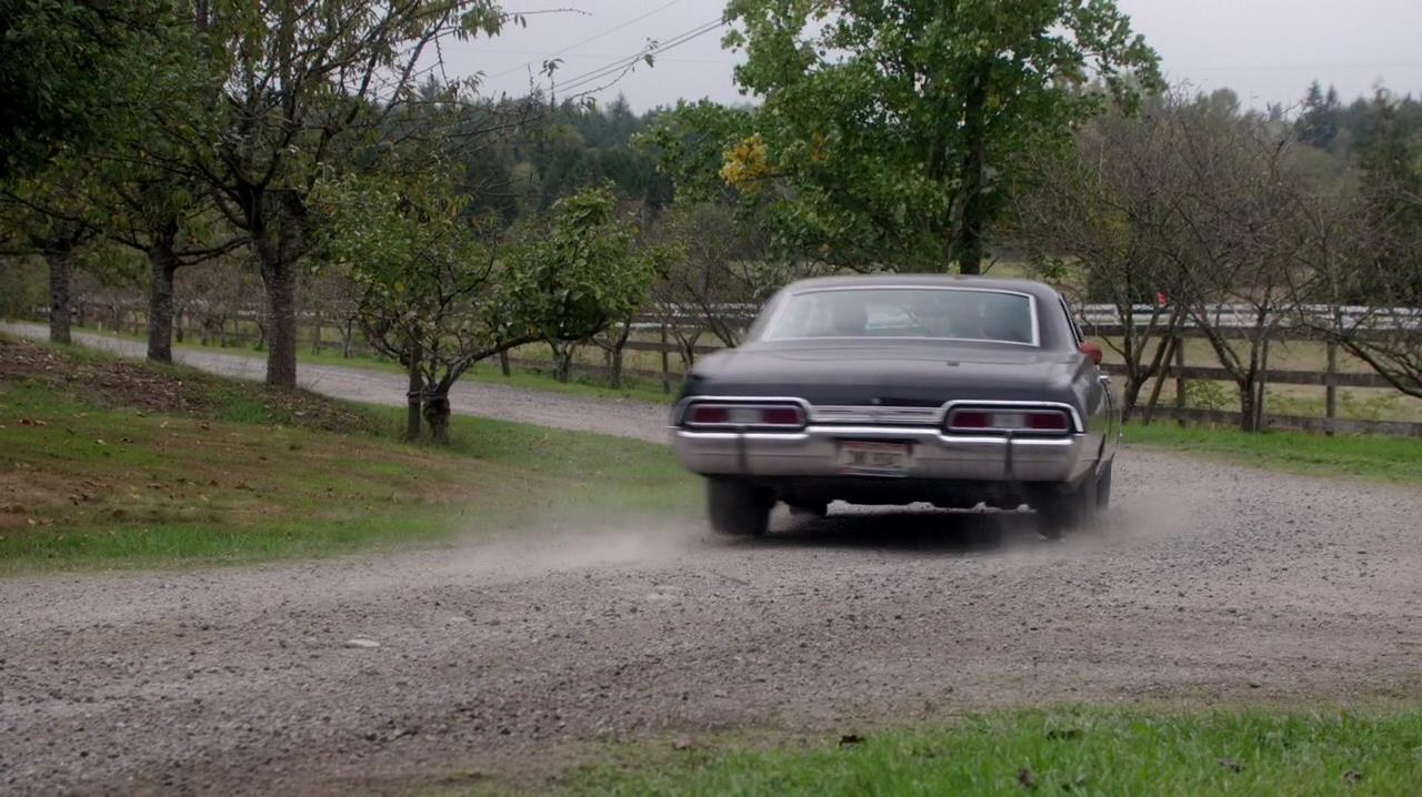 SPN_1559.jpg