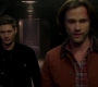 SPN_1457.jpg