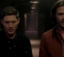 SPN_1460.jpg
