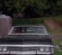 SPN_1558.jpg